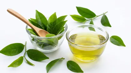 Fresh green tea leaves