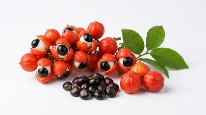 Guarana seeds