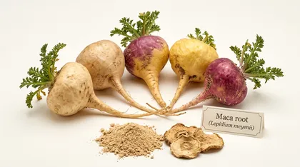 Maca root and maca powder